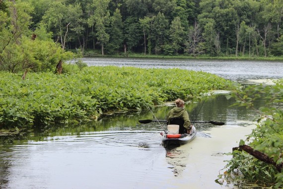 Paddler fishing at state park