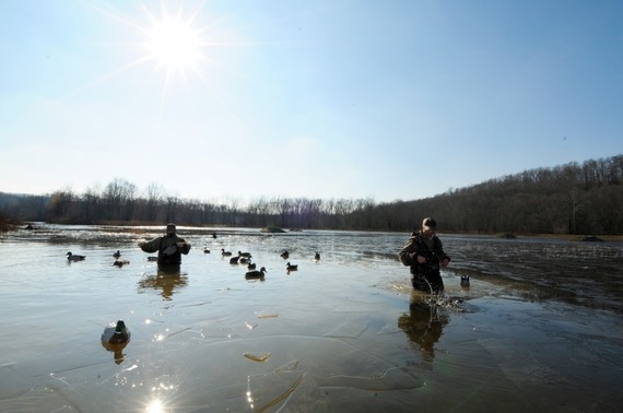 Two waterfowl hunters in icy water with duck decoys