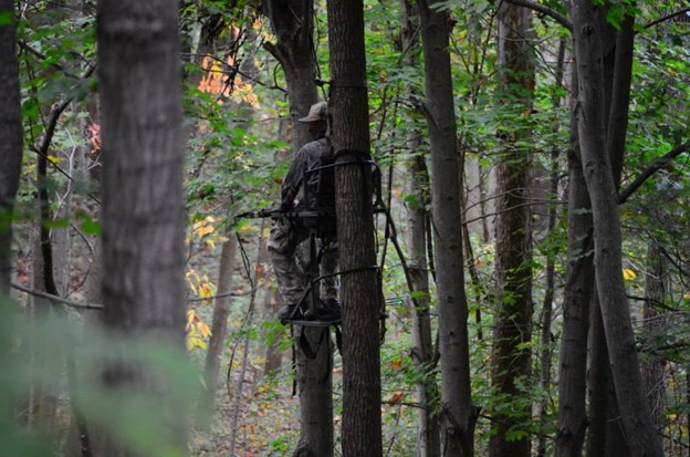 A hunter in a deer stand