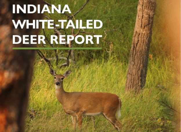 2020 Indiana Deer report cover