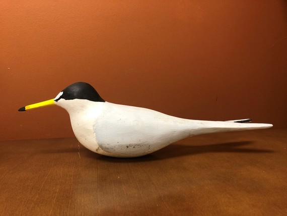 Handcrafted least tern decoy