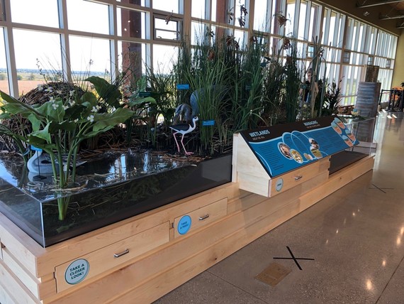 Wetland habitat exhibit with several wildlife models