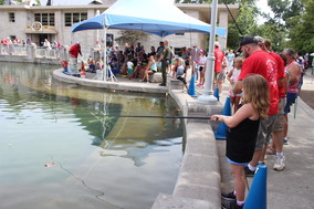 A young girl fishes at the State Fair Fishinâ€™ Pond.