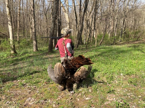 A youth hunter holding a gun and two turkeys behind him.