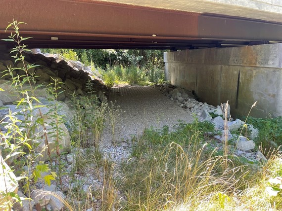 A path for wildlife usage underneath a bridge.