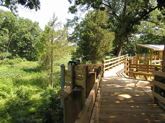 Boardwalk at Pisgah Marsh.