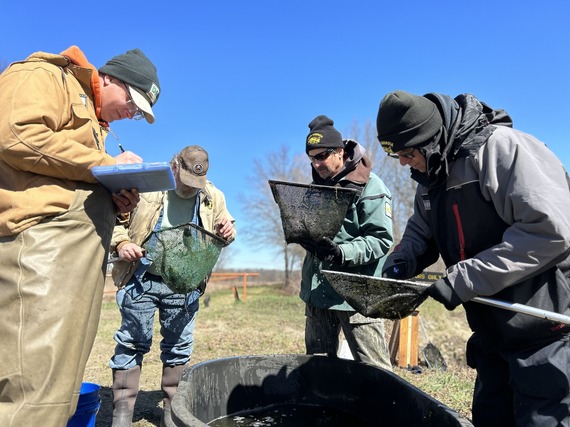 Volunteers surveying nets