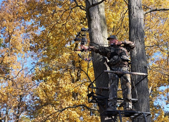 A man bowhunting in a tree stand.