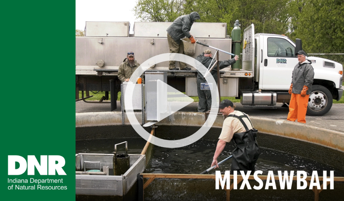 YouTube screenshot of MixSawbah State Fish Hatchery video.