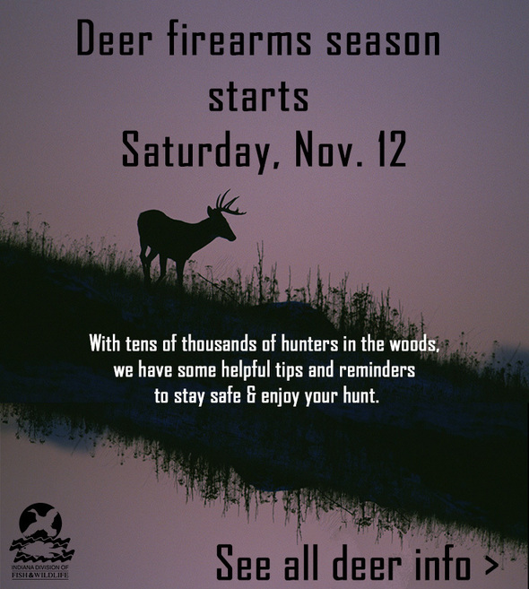 Your guide to a successful deer season