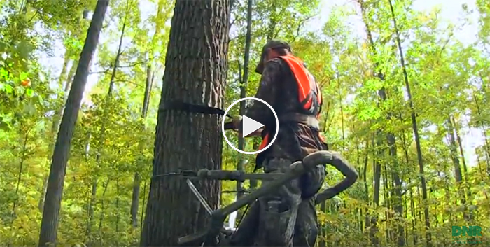 tree stand video