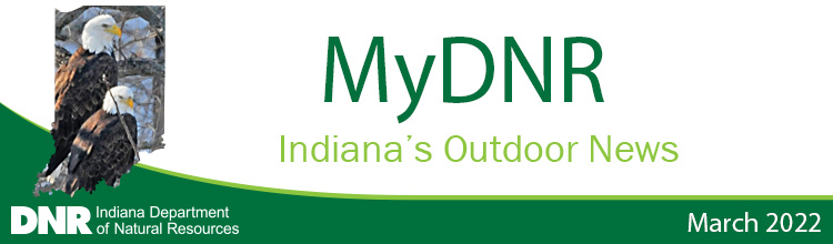 DNR Recreation and Fishing guidebooks are online, Outdoors