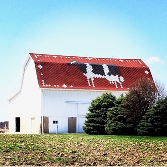 Cow barn