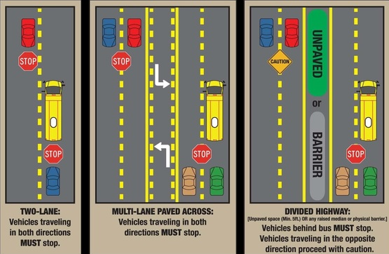 School Bus Safety Diagram