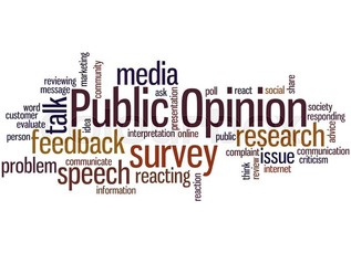 Public Survey