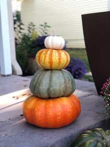 pumpkin stack