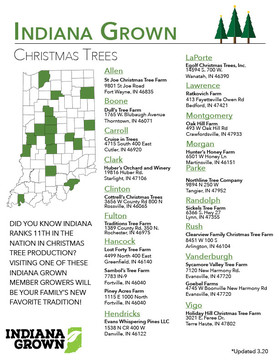 Christmas Tree map