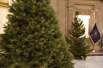 statehouse trees