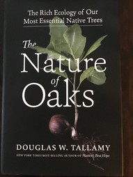 WLTF The Nature of Oaks