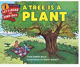 WLTF - A Tree Is A Plant