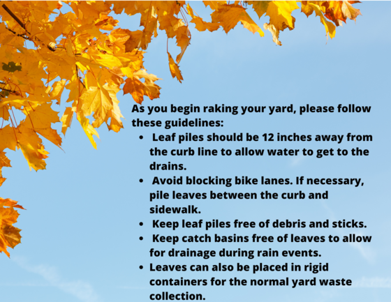 Fall Leaf Collection Information