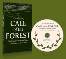WLTF Call to the Forest
