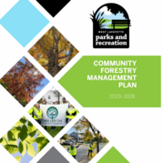 Community Forestry Management Plan