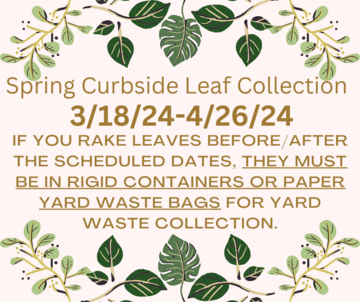 Spring Leaf Collection