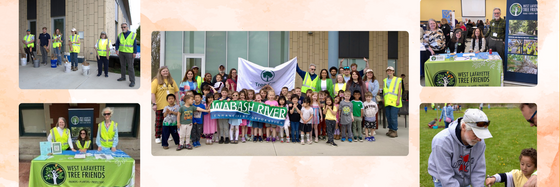 WLTF Email Collage with Watercolor Background