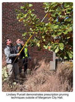 Lindsey Purcell demonstrates prescription pruning techniques outside of Margerum City Hall. 