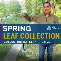 Spring Leaf Collection Graphic