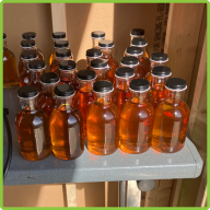 A row of small maple syrup bottles