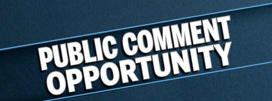 Public Comment Decorative Image