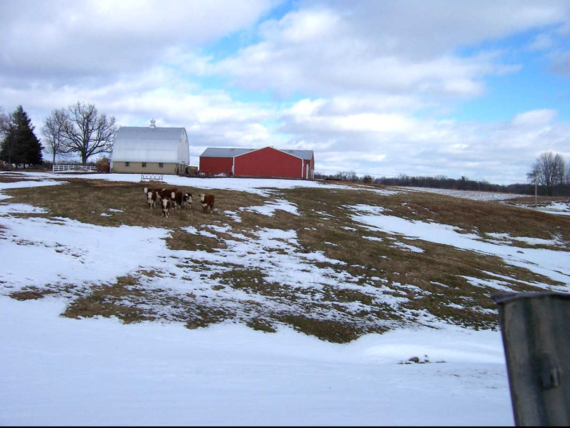 Seif Farm - 141 Acres, Grattan Township