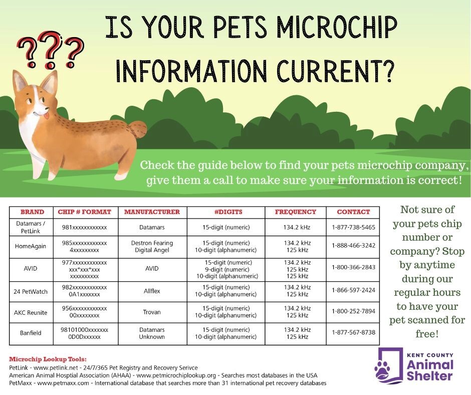 Animal Shelter Microchip