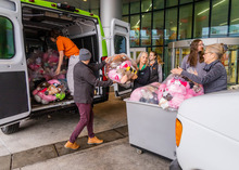 Image of People Loading hundreds of teddy bears 