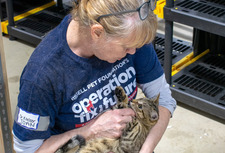 Image of a woman with a cat, for Operation Fix