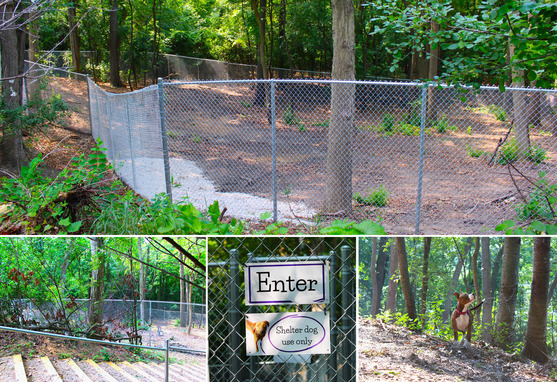 Image collage of the new dog park