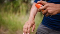 Image of a person putting mosquito repellent on their arms