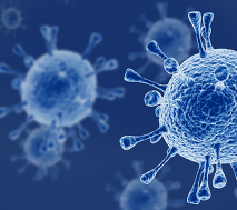 Image of flu bacteria