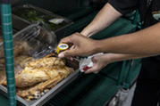Kitchen staff checking the temperature of meat