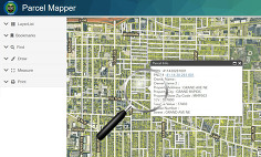 Image of Kent County website - parcel mapping page