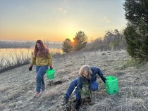 Image of Parks employees and volunteers planting seedlings
