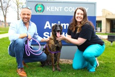 Image of Lily, her new owner, and the KCAS staff member