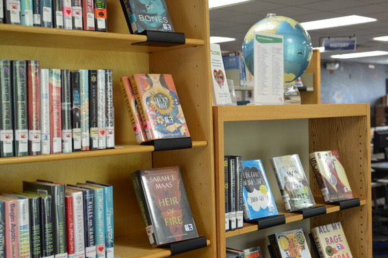 Kent District Library partnership with KCVS