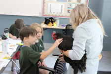 Image of the class learning at the Animal Shelter.