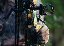 Image of a bow for hunting deer