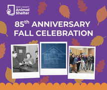 Image of the Animal Shelter event, with old photos