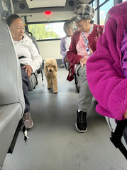 Image of Coco, the dog, in the bus aisle, with seniors looking at her