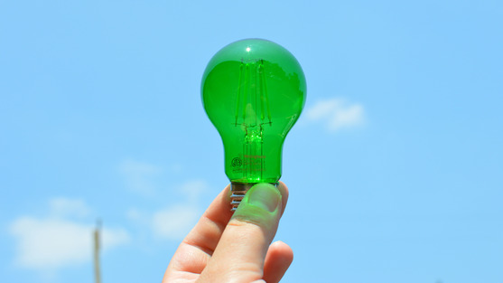 Image of a man holding up a green light bulb